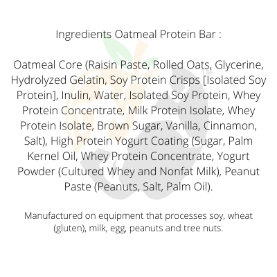 oatmeal protein bar